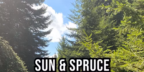 SIX Years of Sun & Spruce Party: Celebration + Appreciation Event!