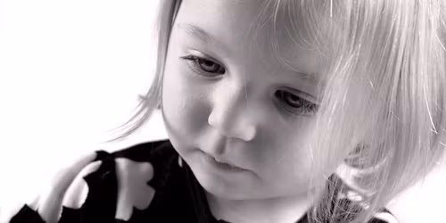 Family Portrait Event