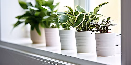 PLANT BINGO: BOTTOMLESS BLOOMS