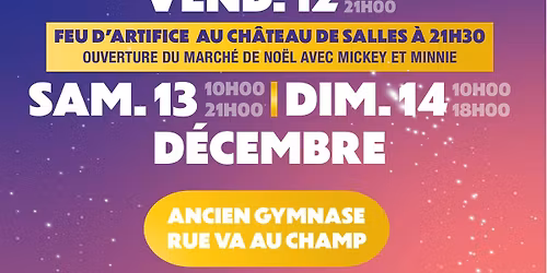 Marché de Noel - ville de Salles