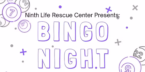 Ninth Life Rescue Center's Bingo 