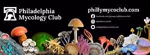All about Mushrooms with Philly Mycology Club