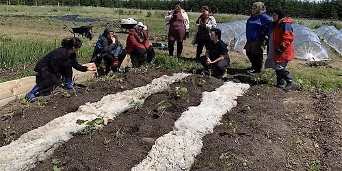 Weeds, Wool and Wisdom