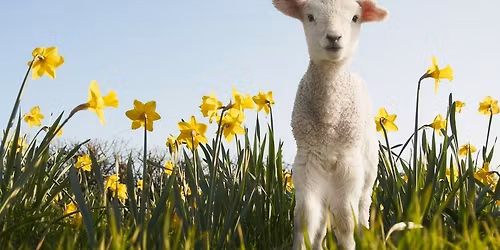 Swing into Spring Social