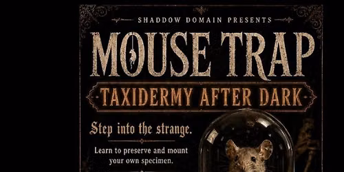 Mouse Trap: Taxidermy After Dark