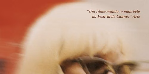 O Riso e a Faca, Pedro Pinho