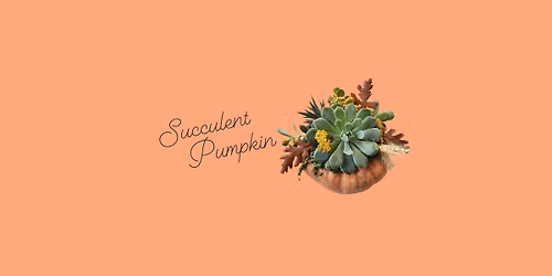 Workshop | Succulent Pumpkin
