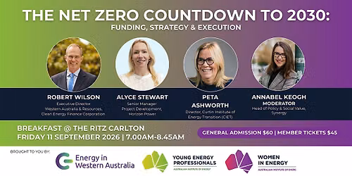 The Net Zero Countdown to 2030