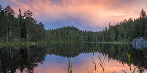 V\u00e5rtur inn i \u00d8stmarka nasjonalpark