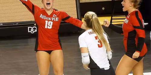 Bellarmine Knights at Arizona Wildcats Womens Basketball at McKale Center