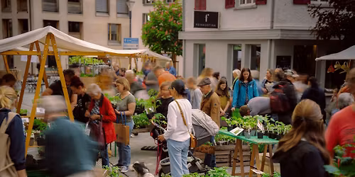 Bio-Jungpflanzenmarkt