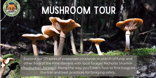 Mushroom Tours