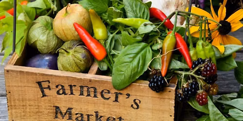 Farmer's Market Trip