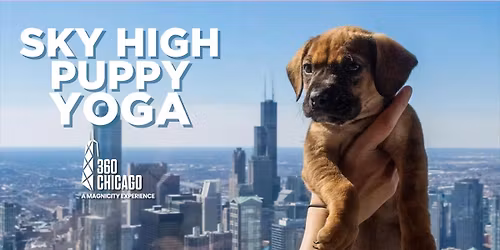 Sky High Puppy Yoga - 360 Chicago
