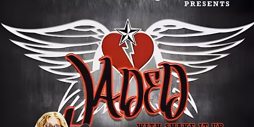 Jaded - Aerosmith Tribute