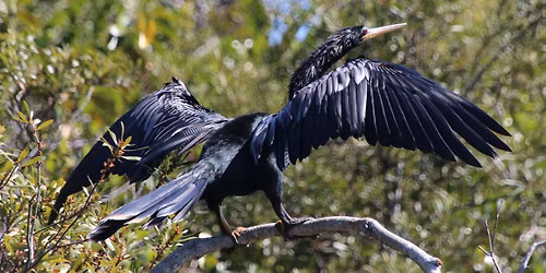 Paddle at John Prince Park in Lake Worth