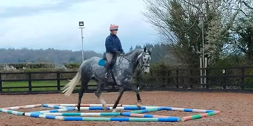 \ud83d\udc0e Polework Clinic \ud83d\udc0e