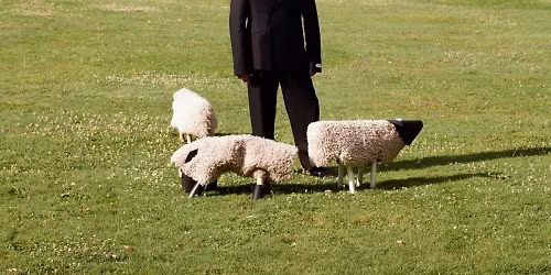 S\u00e9bastien Tellier in