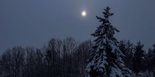 Discover the Night: Winter Moonlight Hike