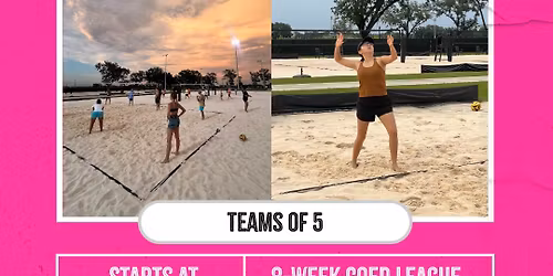 Flock Fall Sand Volleyball