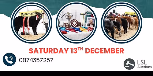 🏆🐮⭐️CHRISTMAS FATSTOCK 2025⭐️🐮🏆