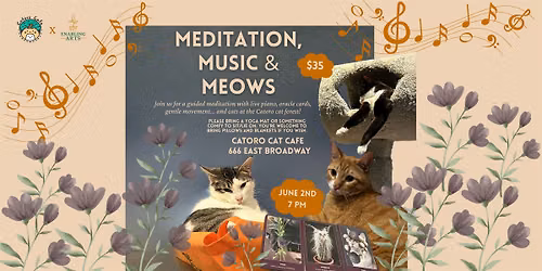 Meditation, Music, & Meow
