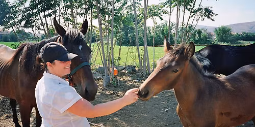 Certified Reiki 1 Course