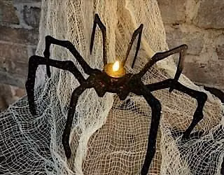Webs & Bones