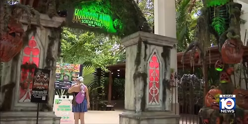 Parking The Jungle Show