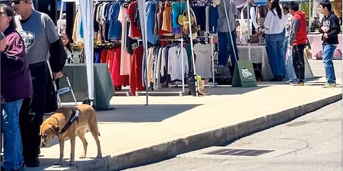 Lion Petal Sparkle Market - Granville Inn