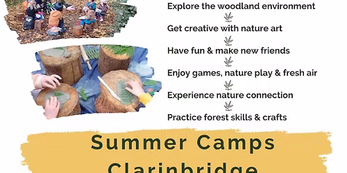 Forest Summer Camp July Clarinbridge