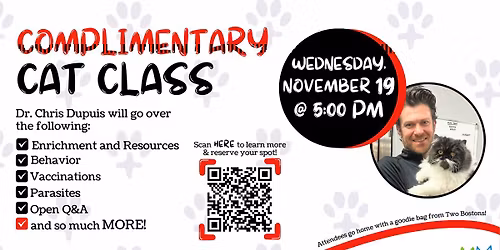 Complimentary 1-Hour Cat Class