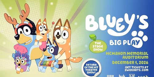 Bluey's Big Play