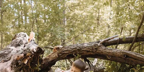 Half Term Forest School Workshop