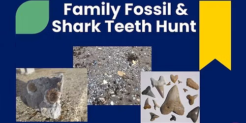 Family Fossil & Shark Teeth Hunt