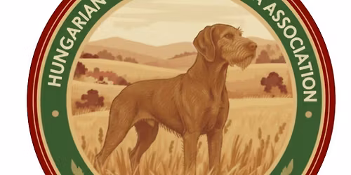 Southern Ginger Mingle -  Celebrating \u2b50\ufe0f30 Years \u2b50\ufe0fof The Hungarian Wirehaired Vizsla Association 