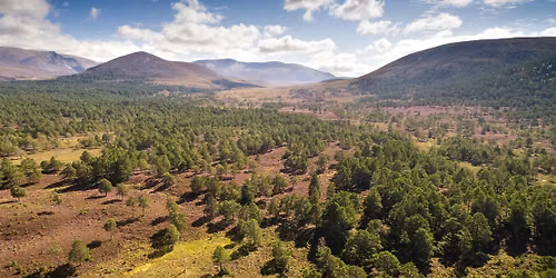 Rewilding - breathing new life into Scotland\u2019s wild places