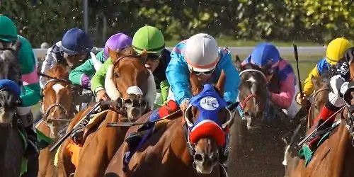 \ud83c\udfc7Derby Day at Brianza