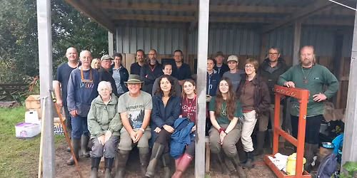 Ringing at Oxwich Marsh: 50,000 birds and counting