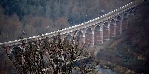 Beaut\u00e9 et Charme de l'Ambl\u00e8ve