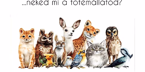 \ud83e\udd8a Melyik \u00e1llat k\u00eds\u00e9r most az utadon? \u2013 Totem\u00e1llat p\u00f3l\u00f3fest\u0151 workshop