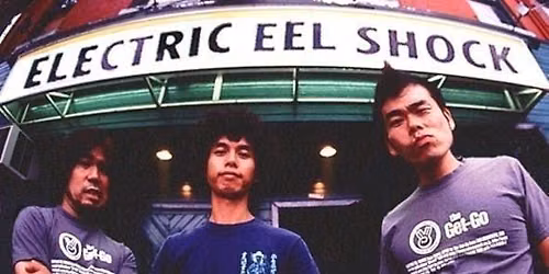 ELECTRIC EEL SHOCK Plus Support