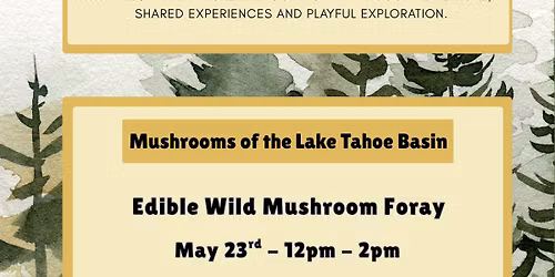 Edible Wild Mushroom Foray