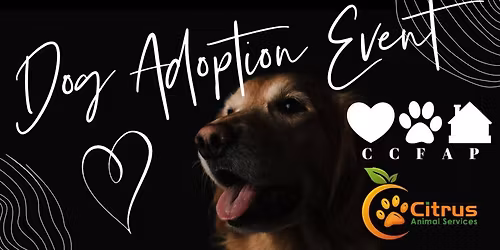 Adoption Event at RURAL KING, Crystal River 11\/08\/25