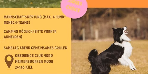 2. Kieler Obedience Cup