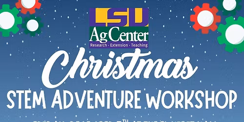 Christmas STEM Adventure Workshop
