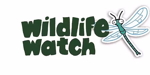 Wildlife Watch December Session @ Lower Moor Farm 