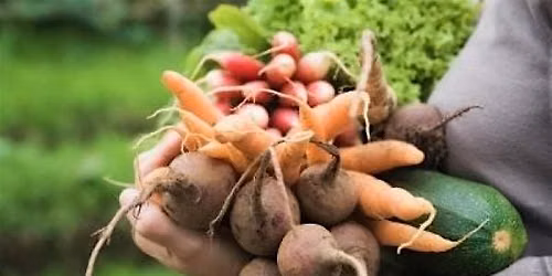 7-21-2026 Basic Vegetable Gardening