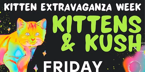 Kitten Extravaganza Week: Kittens & Kush!