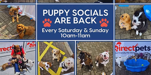 Puppy Social